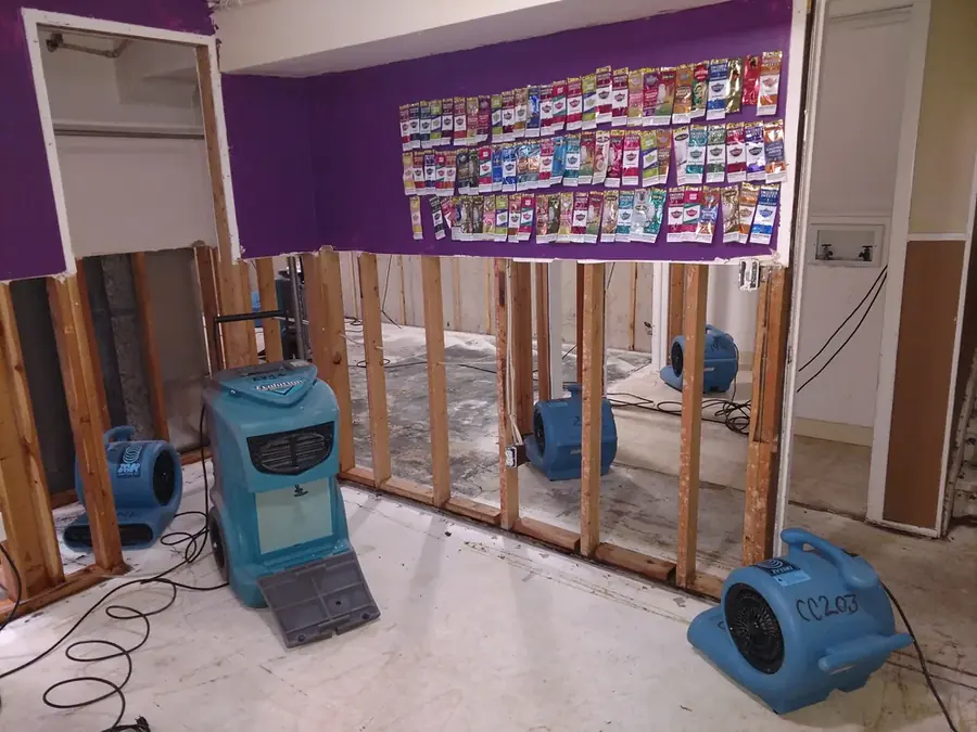 Drying equipment set in a flooded lower level