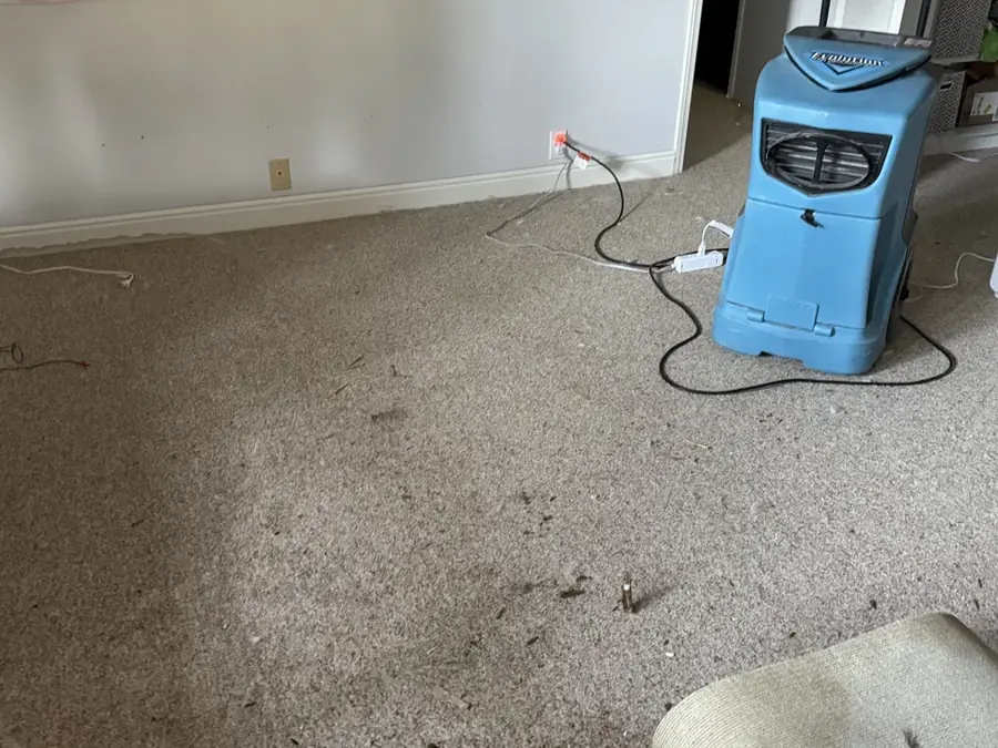 A dehumidifier running on a water-damaged carpet