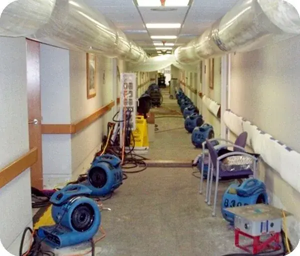 Air movers drying a La Grange, IL home